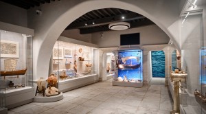 gallery-0