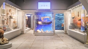 gallery-5
